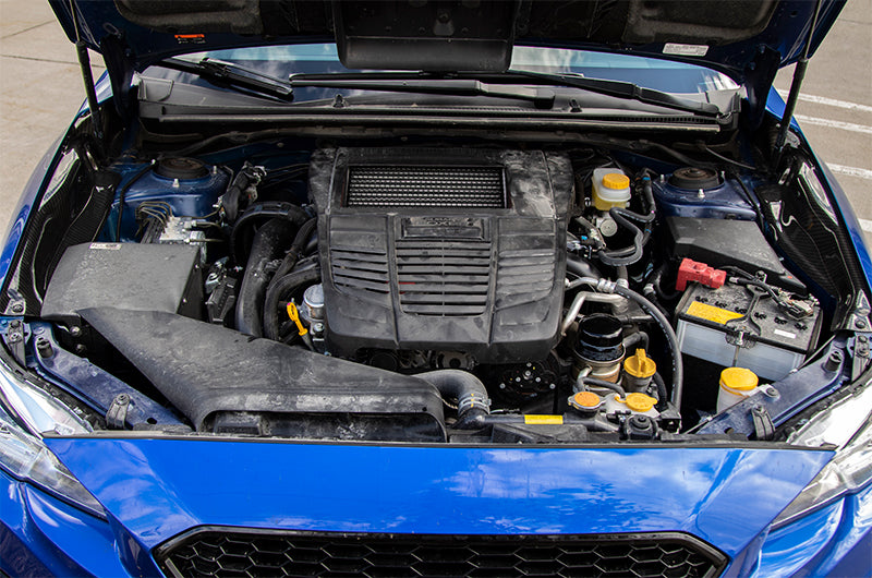 Compressive Tuning Air Shields Intercooler Protector Black - 2015-2021 Subaru WRX / 2014-2024 Forester XT