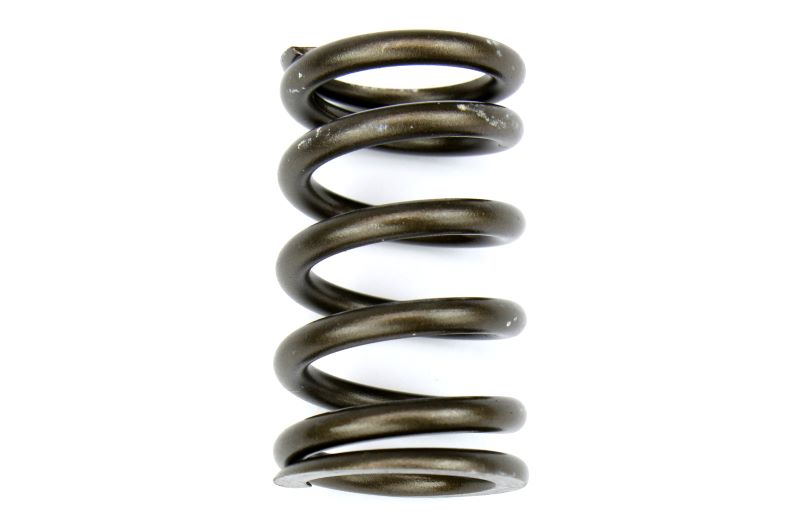 BRIBC0600S Brian Crower Steel Spring and Retainer Kit,