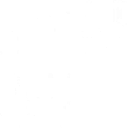 SFBSS36WH SubiSpeed 36,