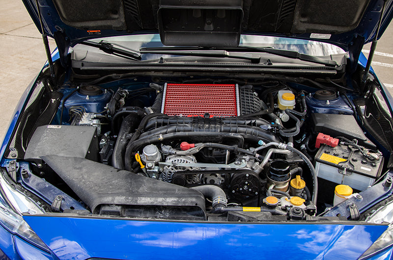 Compressive Tuning Air Shields Intercooler Protector - 2015-2021 Subaru WRX / 2014-2024 Forester XT