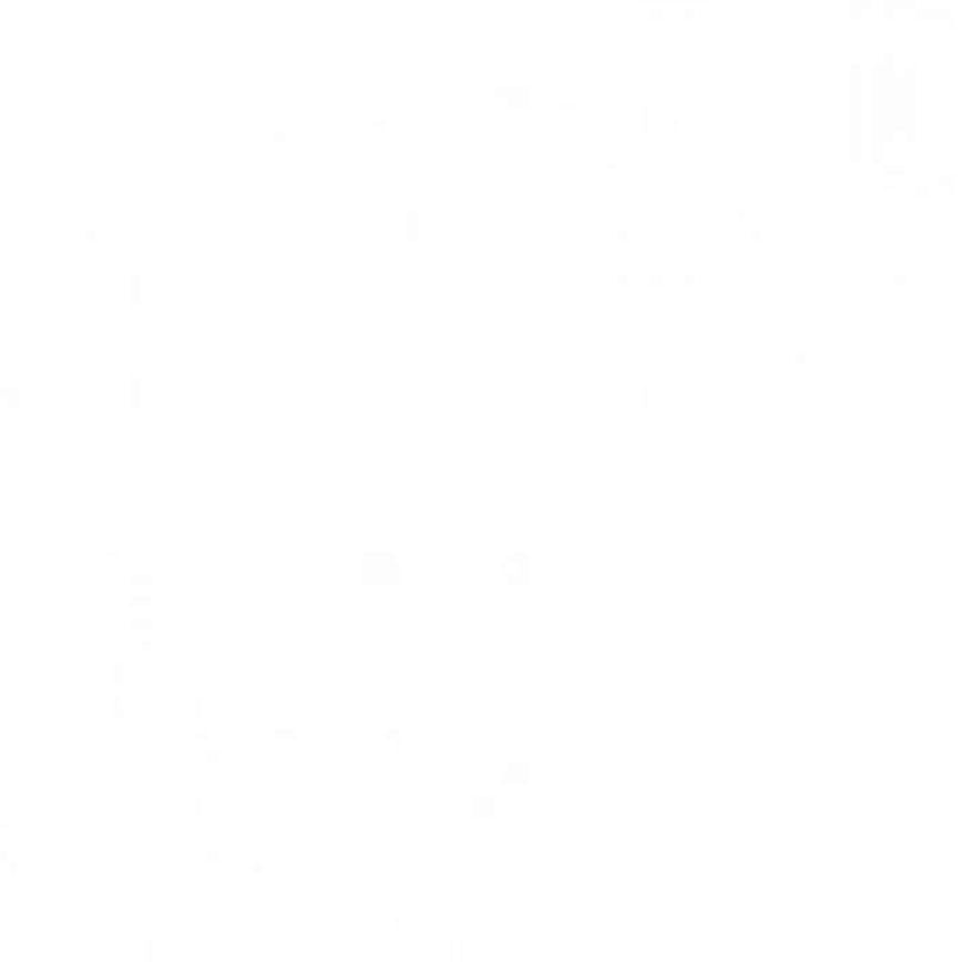 SFBSS29WH SubiSpeed 29,