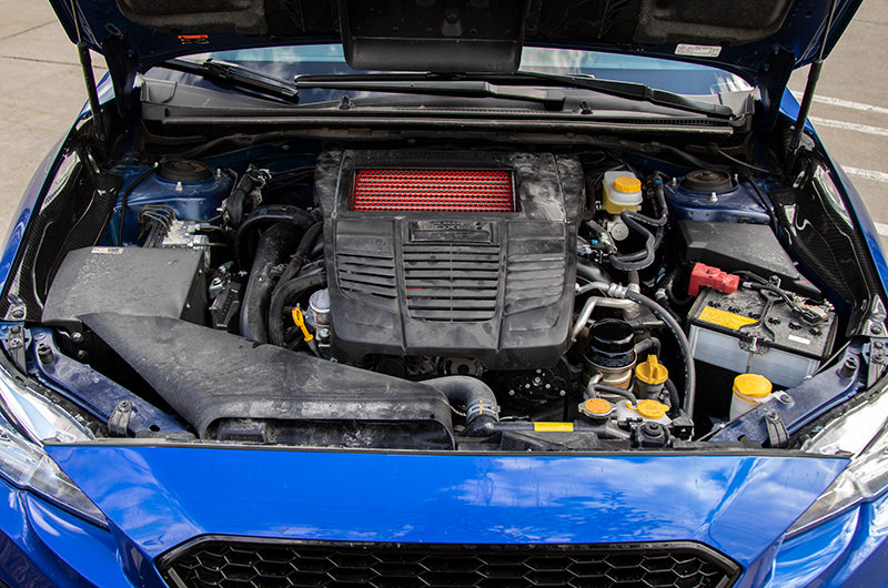 Compressive Tuning Air Shields Intercooler Protector - 2015-2021 Subaru WRX / 2014-2024 Forester XT