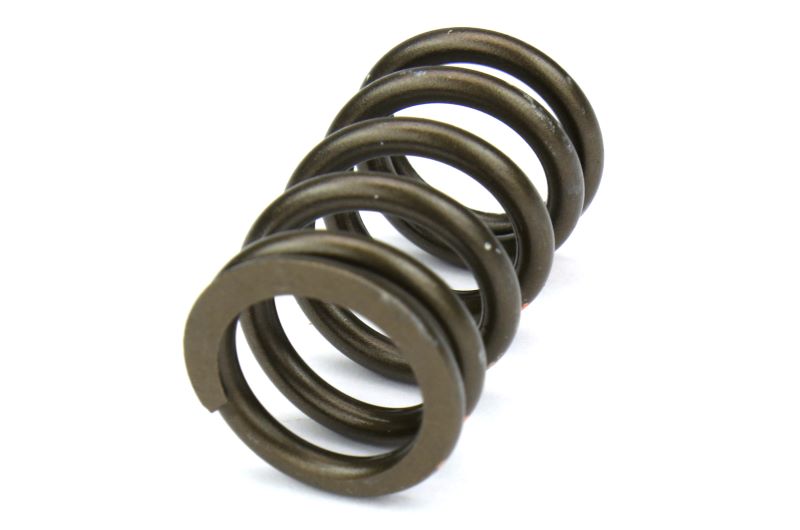 BRIBC0600S Brian Crower Steel Spring and Retainer Kit,